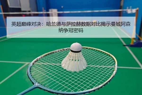 ying-chao-dian-feng-dui-jue-ha-lan-de-yu-sa-la-he-shu-ju-dui-bi-jie-shi-man-cheng-a-sen-na-zheng-guan-mi-ma-2-461.jpg