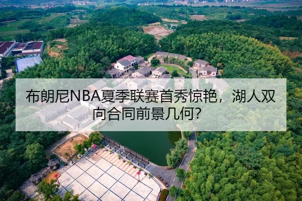 布朗尼NBA夏季联赛首秀惊艳，湖人双向合同前景几何？