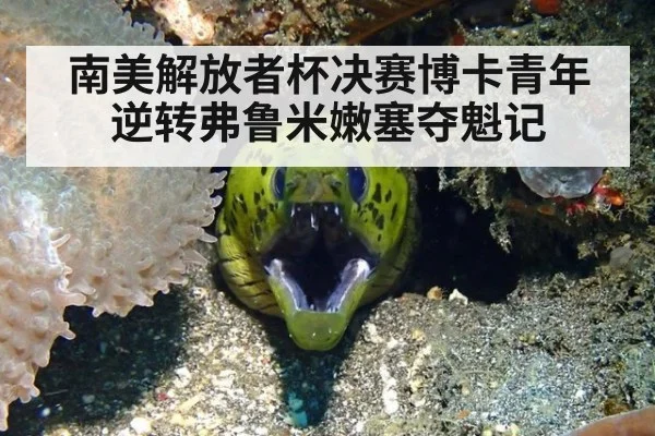 南美解放者杯决赛博卡青年逆转弗鲁米嫩塞夺魁记